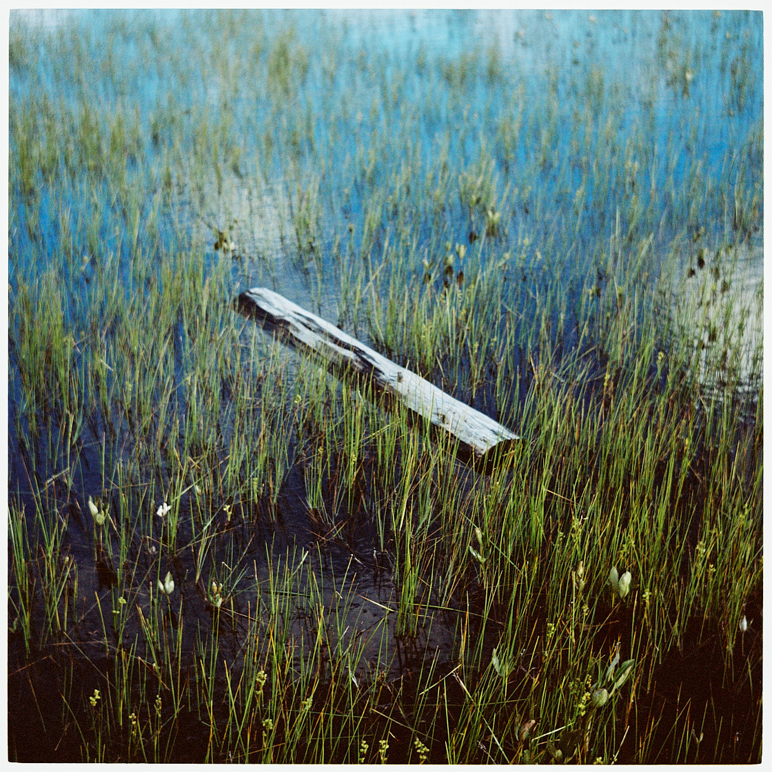 www.floriansiedl.de