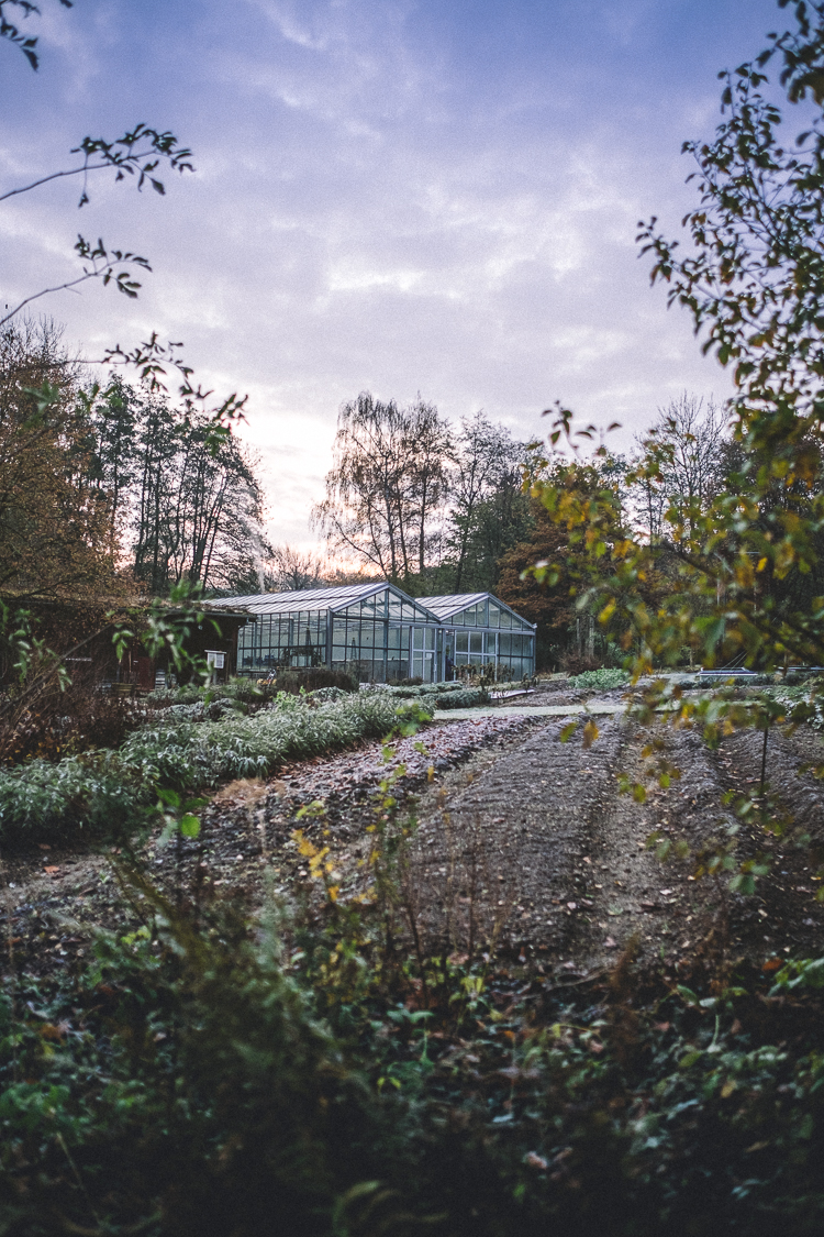 fotoreportage-heilpflanzengarten-wala06
